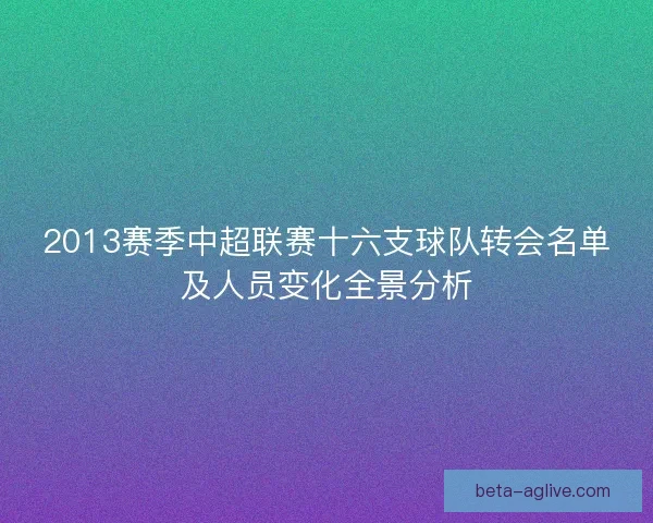 2013赛季中超联赛十六支球队转会名单及人员变化全景分析