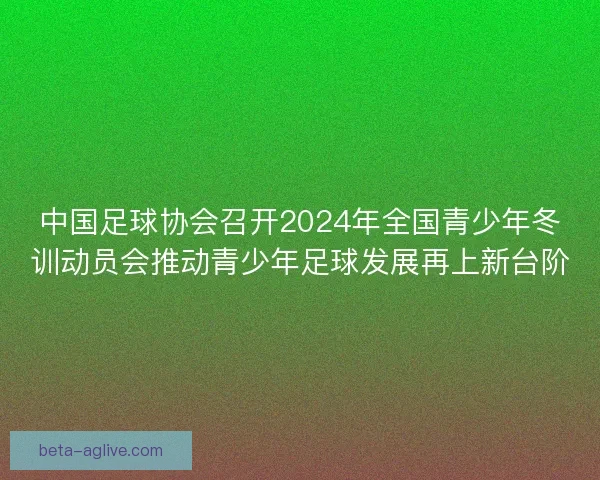 中国足球协会召开2024年全国青少年冬训动员会推动青少年足球发展再上新台阶